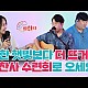 http://cts0808.com/g5/data/apms/video/youtube/thumb-y2U40nD7soo_80x80.jpg